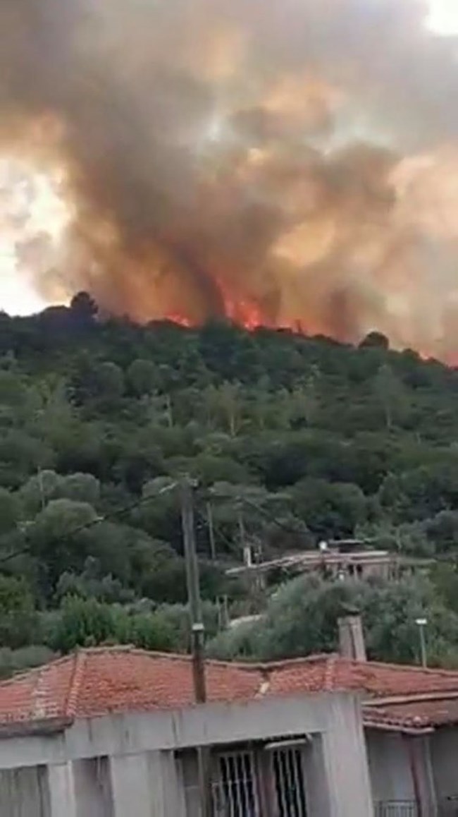 Φωτιά Μεσσηνία