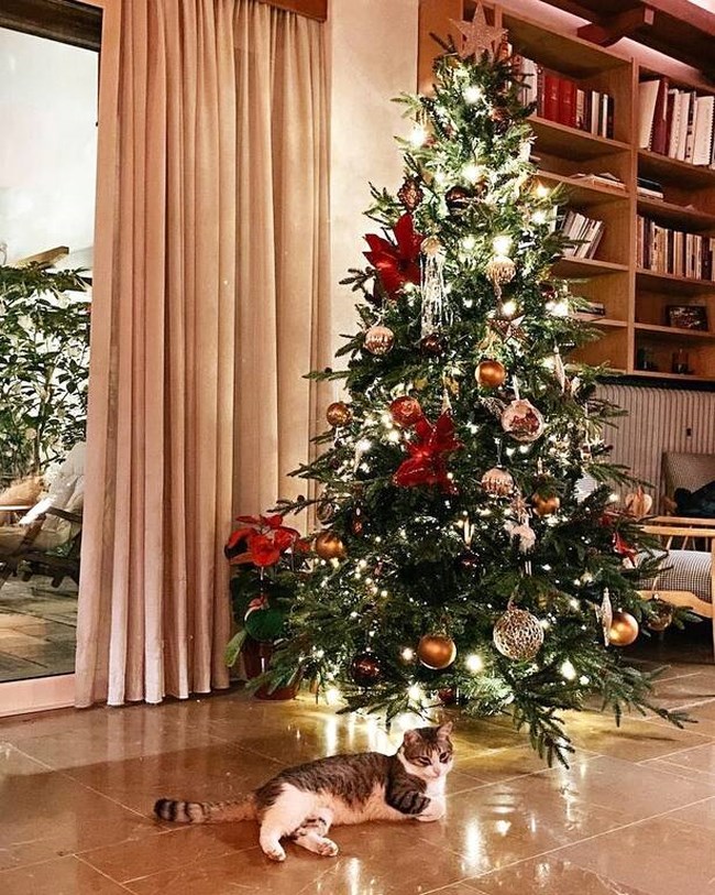 Η Κατερίνα Παπουτσάκη στόλισε το χριστουγεννιάτικο δέντρο στο εντυπωσιακό και cozy σπίτι της [εικόνες]