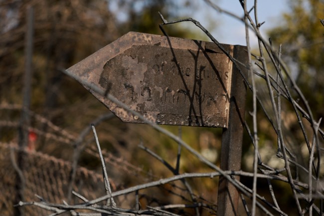 Φωτιές στο Ισραήλ: Συνεχίζουν να επιχειρούν δυνάμεις της Πυροσβεστικής - Ακυρώθηκαν εκδηλώσεις για την Ημέρα Ανεξαρτησίας
