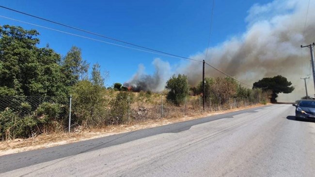 Ραφήνα φωτιά