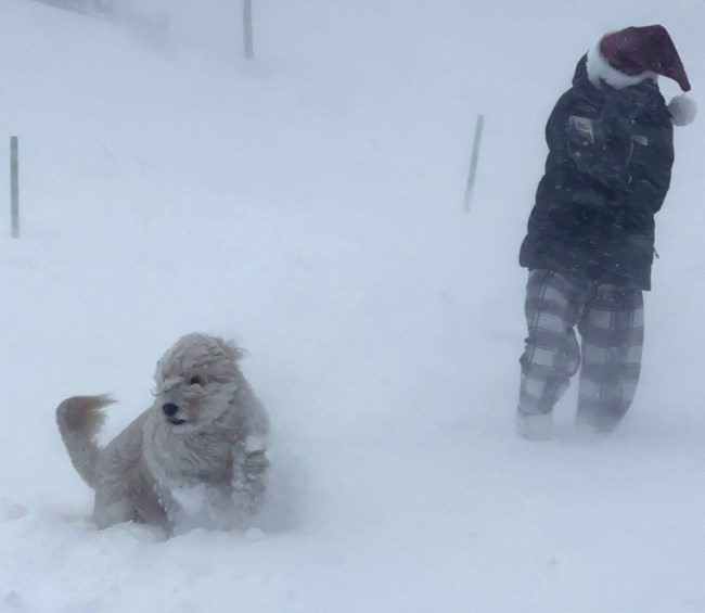 winter storms