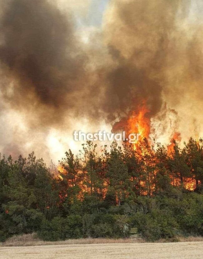 Φωτιά στη Βόλβη