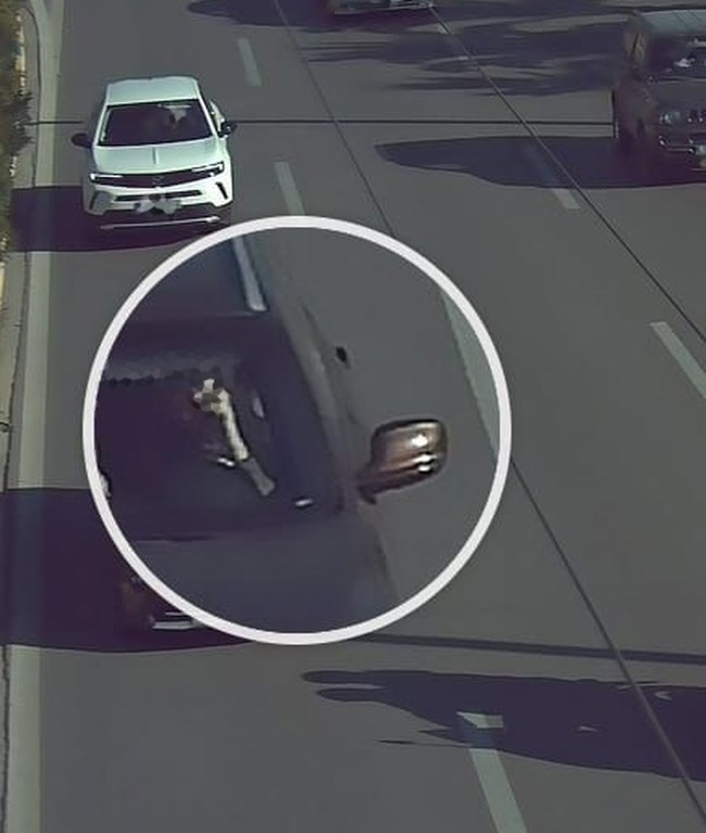 Στους δρόμους της Αττικής οι "έξυπνες" κάμερες της Τροχαίας - Περισσότερες από 1.000 παραβάσεις σε 4 ημέρες [εικόνες]