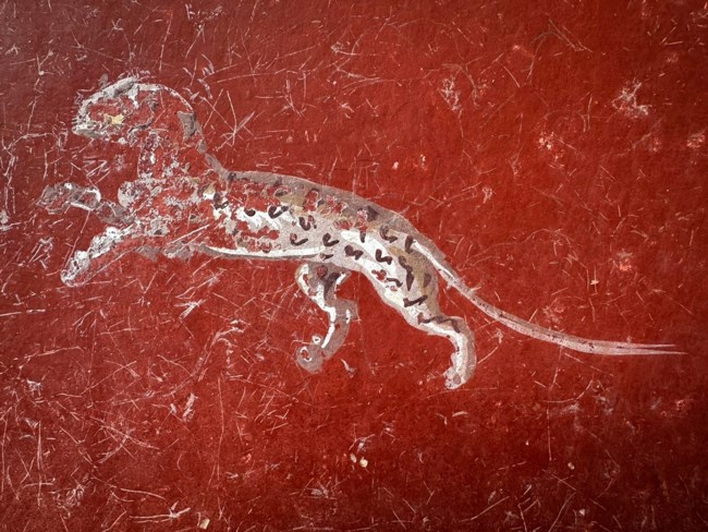 ΠΟΜΠΗΙΑ ΜΠΛΕ ΔΩΜΑΤΙΟ