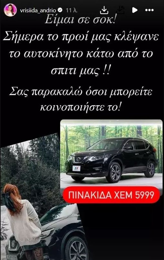 Βρισηίδα Μαρτίκας κλοπή