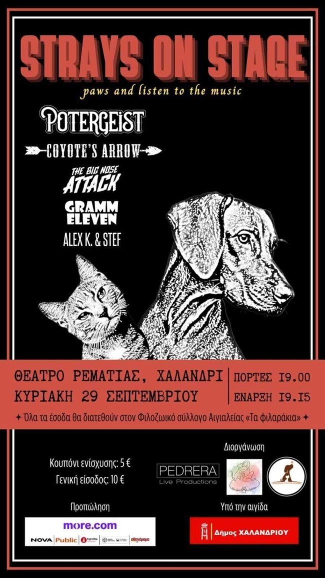 Strays on Stage, συναυλία για να βοηθήσουμε τα αδέσποτα στο ρέμα Χαλανδρίου