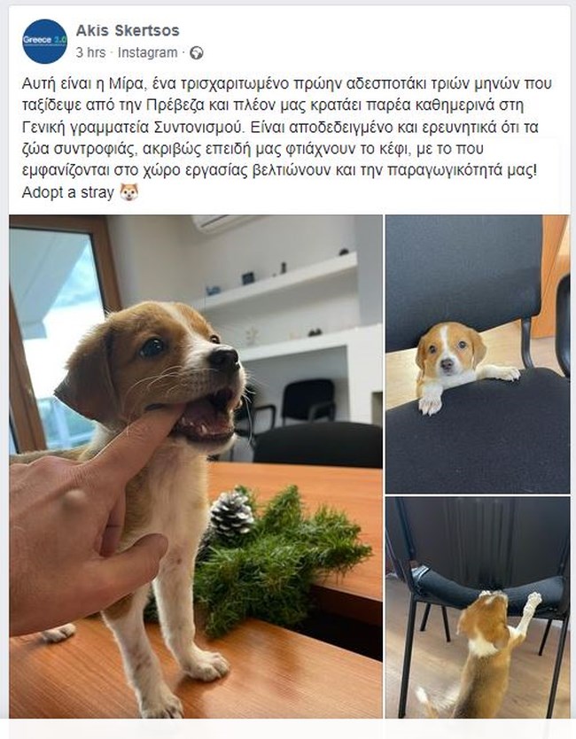 akis skertsos
