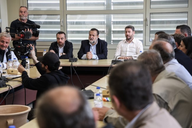 Νίκος Ανδρουλάκης