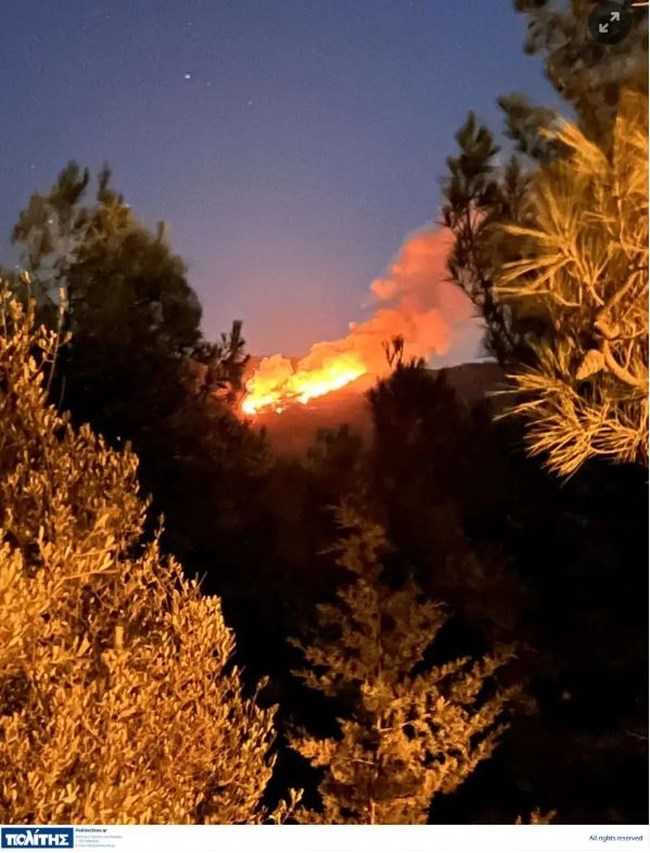Φωτιά στη Χίο: Καίγεται δασική έκταση στο χωριό Διευχά [εικόνες, βίντεο]