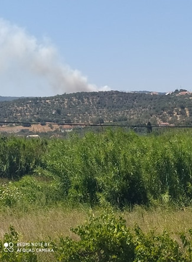 Φωτιά στη Λέσβο: Κοντά στο μοναστήρι του Αγίου Ραφαήλ οι φλόγες - Ισχυροί άνεμοι [Εικόνες]