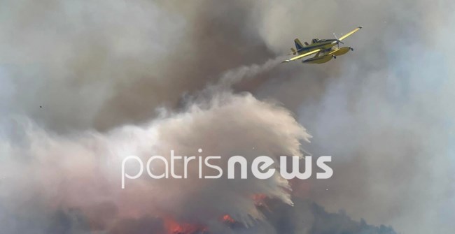 Φωτιά στην Ηλεία: Συνελήφθη άνδρας για εμπρησμό στα Άγναντα - Τον είδαν κάτοικοι να βάζει φωτιά