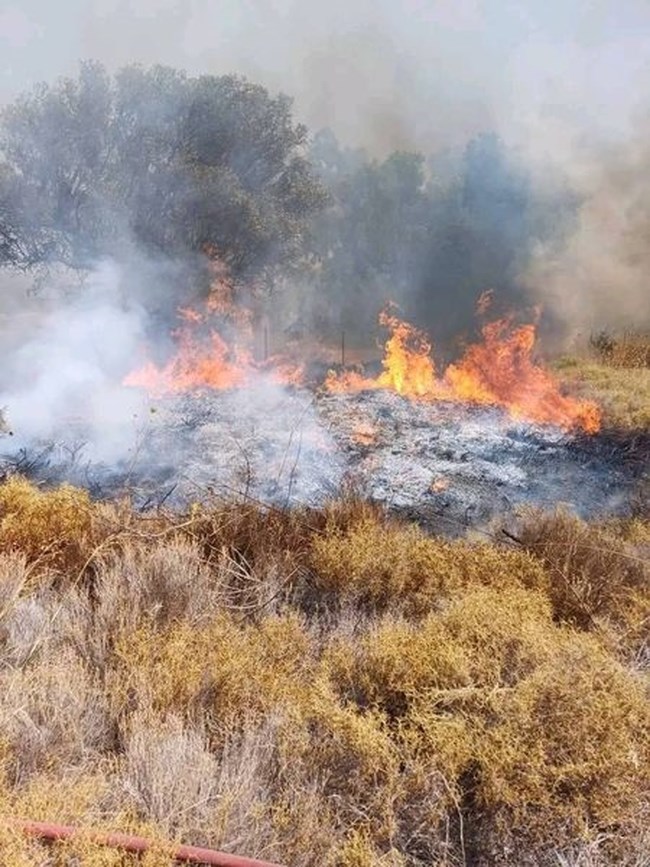Φωτιά στα Καλύβια Θορικού: Μήνυμα 112 στους κατοίκους για ετοιμότητα - Διακοπή κυκλοφορίας στη Λ. Σουνίου