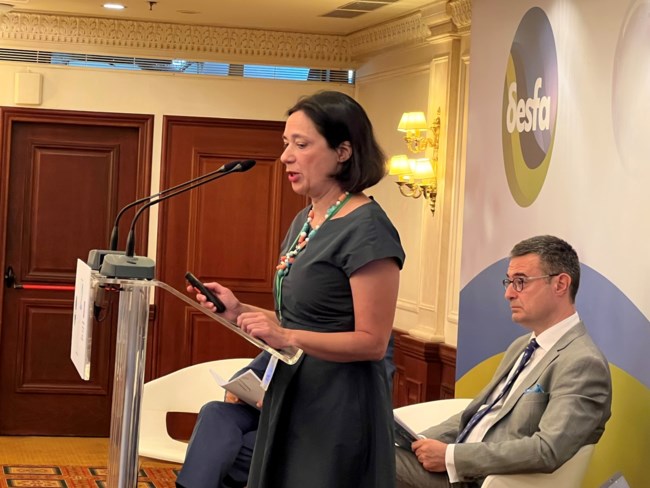 Δρ Κατερίνα Σάρδη: Κίνητρα για να καταστεί το υδρογόνο ανταγωνιστικό και δημιουργία αγοράς σε σωστές βάσεις