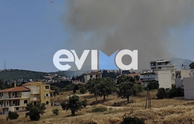 Φωτιά στο Αλιβέρι Ευβοίας: "Είμαστε περικυκλωμένοι" - Καίει κοντά σε σπίτια, ισχυροί άνεμοι στην περιοχή
