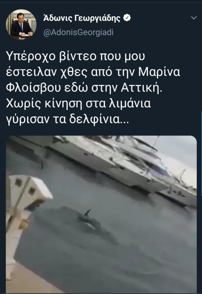 Οχι δεν εμφανίστηκαν δελφίνια στον Φλοίσβο- Την πάτησε ακόμα και ο Αδωνις