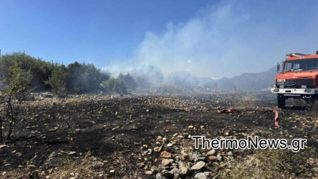 Φωτιά στην Αιτωλοακαρνανία: Καίγεται δασική έκταση στο Θέρμο - Επιχειρούν εναέρια μέσα