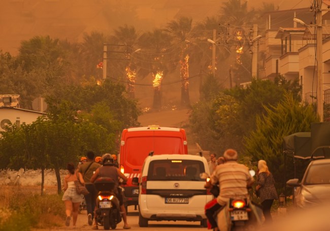 Δεύτερη μέρα μάχης με τις φλόγες στη Σμύρνη - Πάνω από 1.000 άτομα στην κατάσβεση - Εκκενώσεις και συλλήψεις υπόπτων