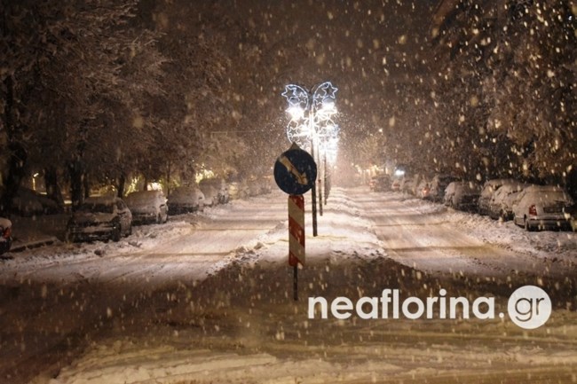 ΦΛΩΡΙΝΑ ΧΙΟΝΙΑ