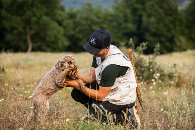 ΔΡΑΣΕΙΣ ΦΥΣΗΣ