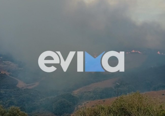 Ανεξέλεγκτη η φωτιά στην Κάρυστο: Εκκενώθηκαν Αμυγδαλιά και Πρινιάς - Οι φλόγες μπήκαν μέσα στις αυλές σπιτιών [Βίντεο]