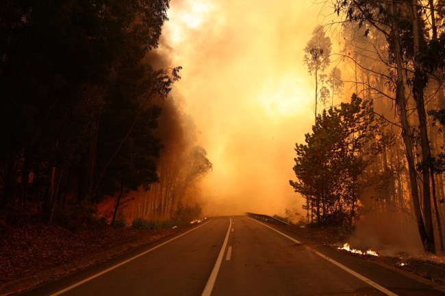 Πύρινος εφιάλτης στην Πορτογαλία: Τρεις πυροσβέστες νεκροί από τις καταστροφικές φωτιές - Η χώρα έχει ζητήσει βοήθεια από την ΕΕ