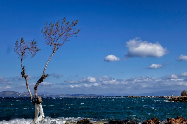 Καλός ο καιρός σήμερα - Μικρή άνοδος της θερμοκρασίας [βίντεο]