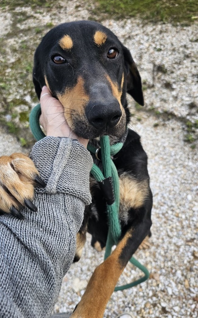 Ένας ζωντανός σκελετός ήταν η Φρίντα: Το αποστεωμένο της κορμί κουνιόταν πέρα δώθε κάθε φορά που έβλεπε άνθρωπο