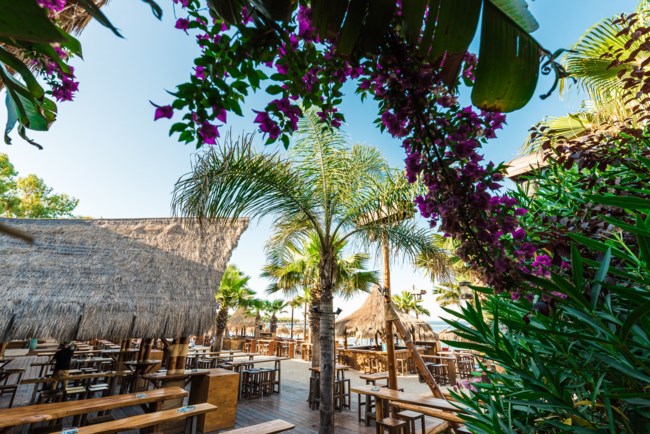 Bolivar: Αυτό είναι το beach bar που έκανε "κόκκινους" από κορονοϊο Άλιμο και Γλυφάδα [Εικόνες - Βίντεο]