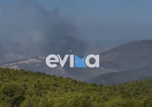 Φωτιά στη Σκύρο: Καλύτερη η εικόνα της, εξακολουθεί να είναι δύσκολη - Ενεργό το βορειοανατολικό μέτωπο