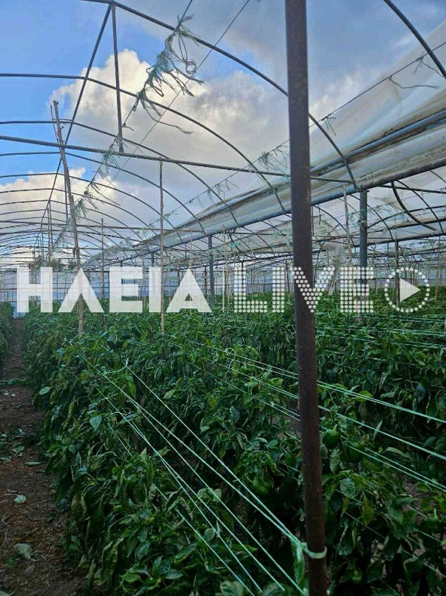 ΑΝΕΜΟΣΤΡΟΒΙΛΟΣ ΗΛΕΙΑ