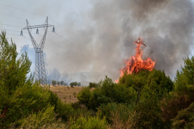 Φωτιά στην Ηλεία: Σε ετοιμότητα για εκκένωση οι κάτοικοι στο Χελιδόνι - Επιτόπου ο ΓΓ Πολιτικής Προστασίας [Εικόνες]