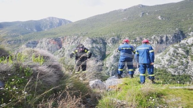 ΖΕΥΓΑΡΙ ΑΜΕΡΙΚΑΝΟΙ ΤΑΥΓΕΤΟΣ
