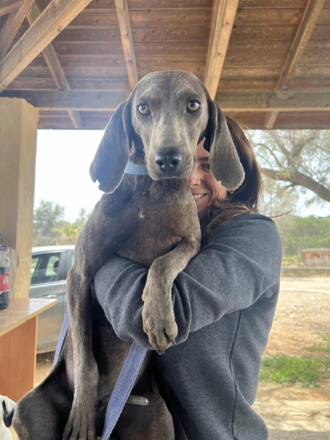 κορωπι βαιμαρανεν