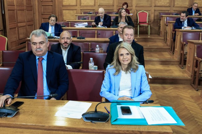 Εξεταστική ΟΠΕΚΕΠΕ: "Δεν αισθάνθηκα ποτέ παρέμβαση από τον Μάκη Βορίδη" κατέθεσε ο πρώην πρόεδρος Θεοφάνης Παπάς