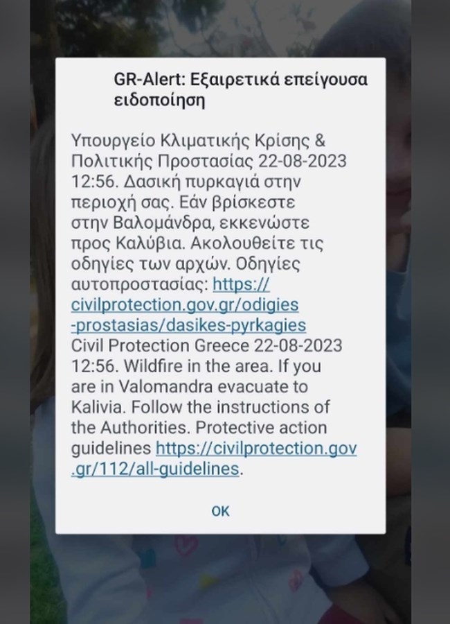 Υπό μερικό έλεγχο η φωτιά στα Καλύβια Αττικής - Μήνυμα εκκένωσης στους κατοίκους της Βαλομάνδρας