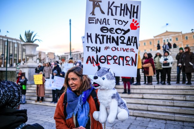 Όλιβερ Σύνταγμα χάσκι Αράχωβα