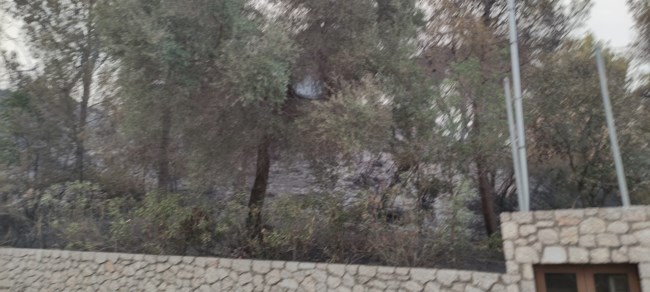 Φωτιά στην Ηλεία: Ζημιές στο σπίτι του Τζόρτζεβιτς του Ολυμπιακού από το πύρινο μέτωπο