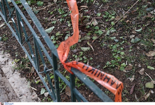 ΕΠΙΘΕΣΗ ΒΟΤΑΝΙΚΟΣ