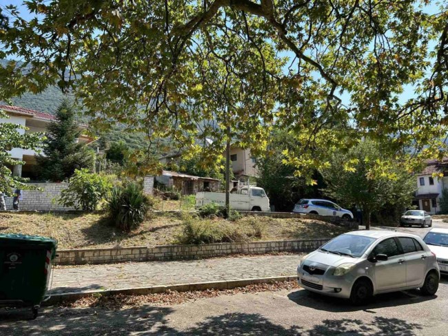 Δολοφονία στα Ιωάννινα: Ο ανιψιός ομολόγησε ότι σκότωσε την 62χρονη - Οικονομικό το κίνητρο