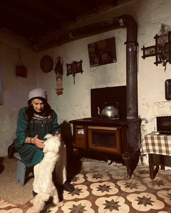 ΡΙΖΕΣ