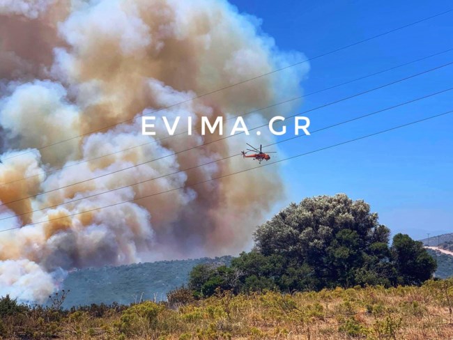 φωτια καρυστος