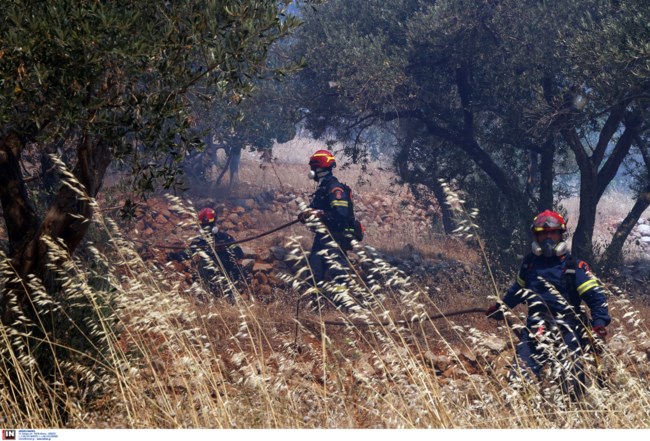 ΠΥΡΚΑΓΙΑ ΣΤΗ ΧΙΟ