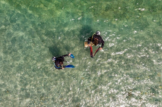 Η καμπάνια "Plastic Free Greece" της Lidl Ελλάς, σε συνεργασία με το Κοινωφελές Ίδρυμα Αθανάσιος Κ. Λασκαρίδης συνεχίζεται και φέτος