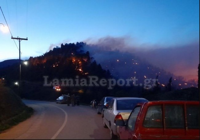 Φθιώτιδα: Ολονύχτια μάχη με τις φλόγες- Προσπάθεια να ανακοπεί το μέτωπο λίγα μέτρα από το χωριό Μενδενίτσα