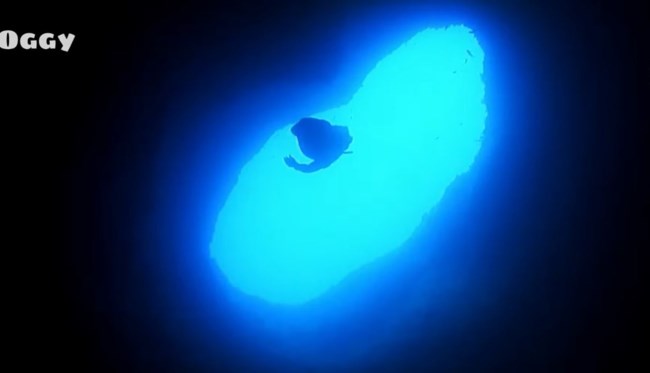 ΠΗΓΑΔΙ ΔΙΑΒΟΛΟΥ