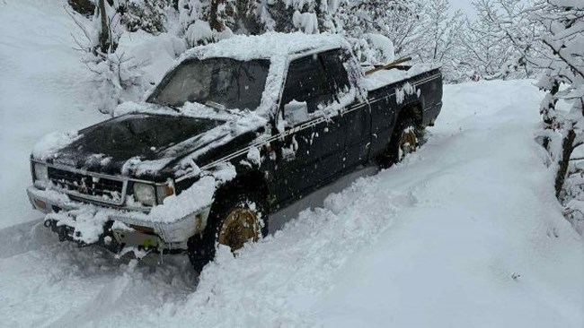 ΧΙΟΝΙΑ ΦΘΙΩΤΙΔΑ