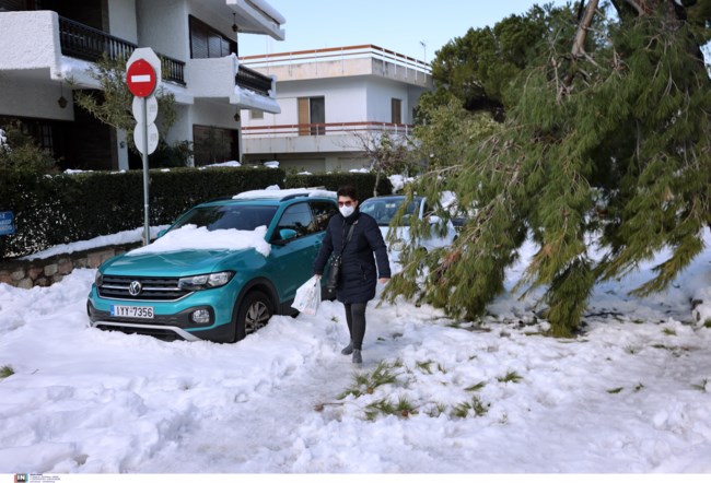 Ακόμα μαζεύουν δέντρα και κλαδιά στον Δήμο Παπάγου-Χολαργού από την κακοκαιρία "Ελπίδα"