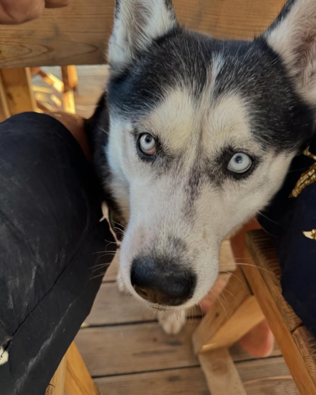 ΚΛΕΛΙΑ ΑΝΔΡΙΟΛΑΤΟΥ ΜΥΚΟΝΟΣ