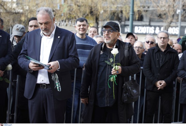 ΜΙΜΗΣ ΔΟΜΑΖΟΣ ΚΗΔΕΙΑ