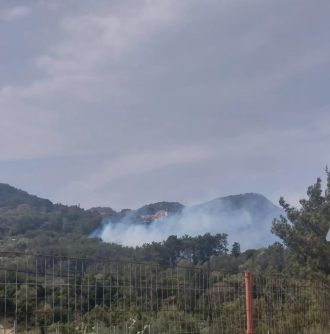 Φωτιά στη Σάμο - Ισχυρές πυροσβεστικές δυνάμεις στο σημείο [εικόνες]